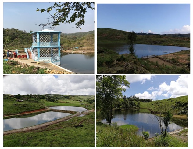 Ponds