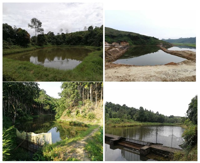 Ponds